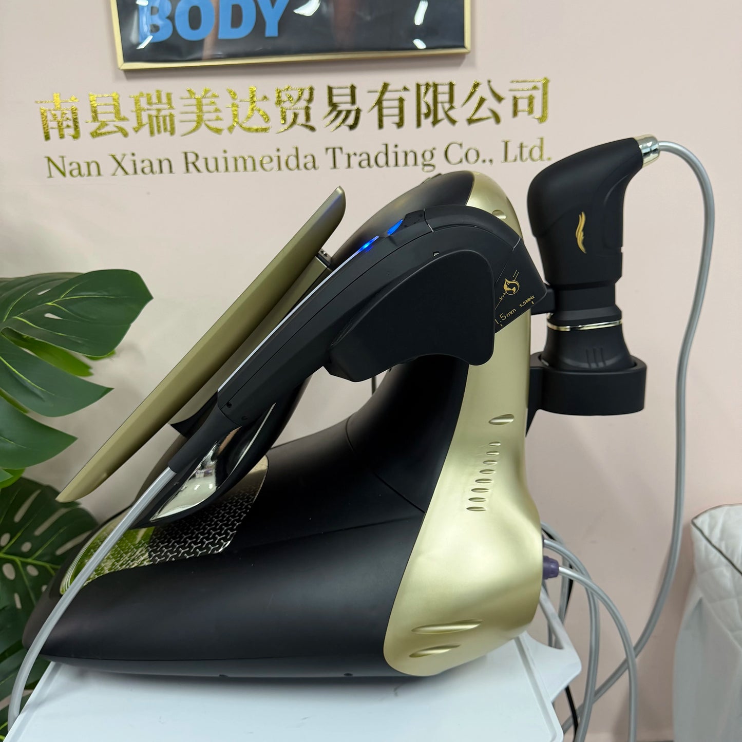 Professional HIFU Facial Skin Tightening And Body Treatment Machine