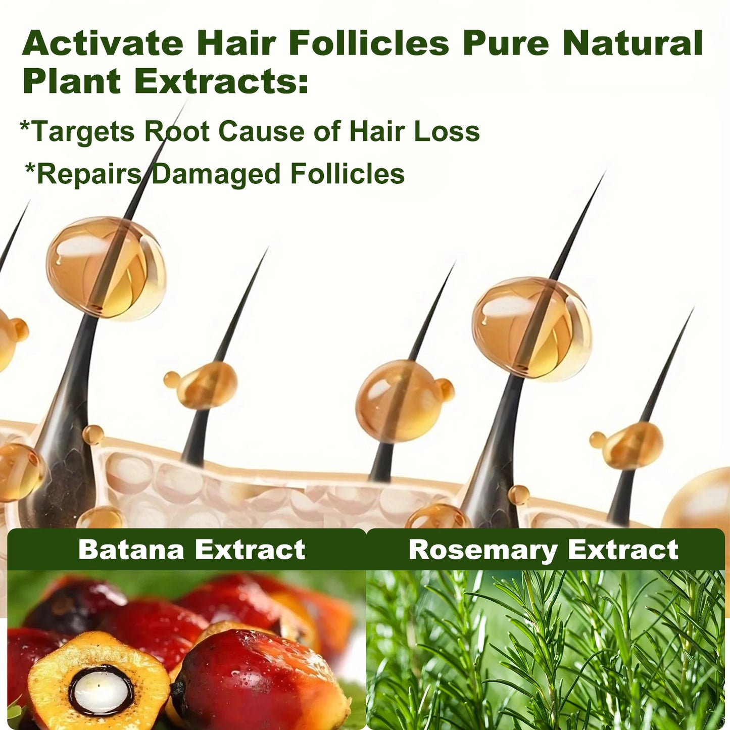 Tgideas Rosemary Batana Oil Shampoo Boosts Hair Growth And Strength